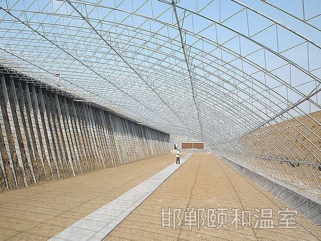 日光溫室 (2)