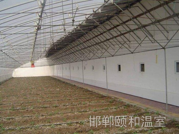 日光溫室 (8)